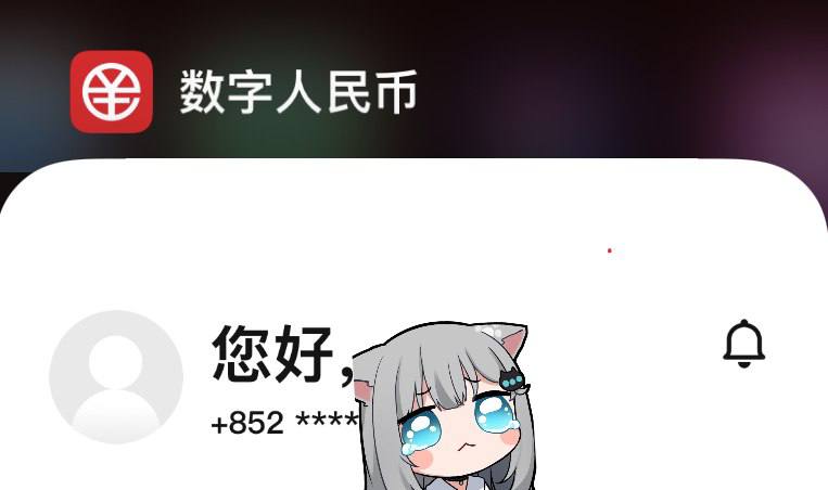 数字人民币(试点版)支持非86号码注册#数字人民币 #eCNY • 需试点城市定位、大陆IP，无需白名单 • 可通过钱包ID从86转账非86，不可转回🆕试点版已关闭，测试版仍可以 • 可推送子钱包+852 e-CNY实测