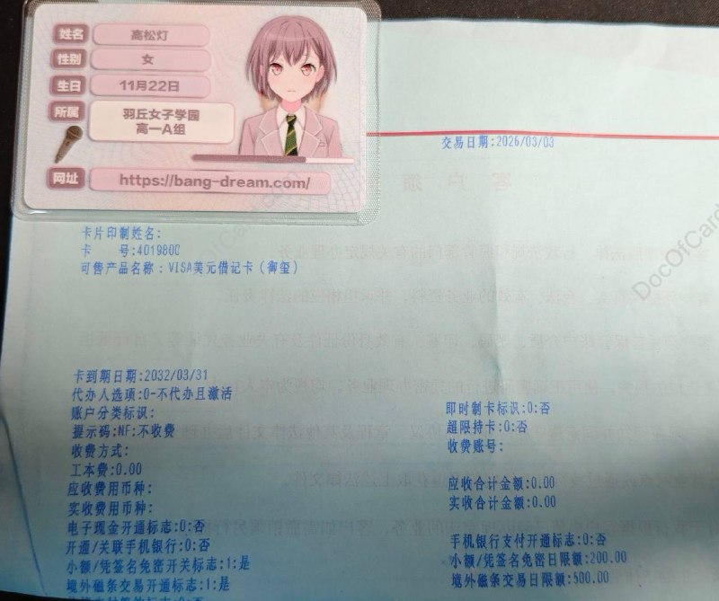 中国银行 VISA 美元白金/御玺借记卡#中行 #VISA #外币借记卡 • VISA美元借记卡（白金)  401870 • VISA美元借记卡（御玺)  ，产品代码