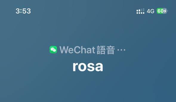 WeChat 更新修复 iOS CallKit 功能#微信 #WeChatCallKit